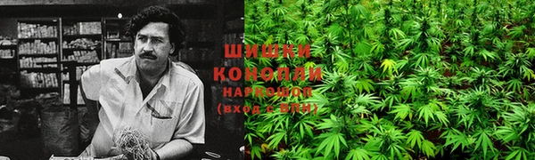 бутират Каменногорск