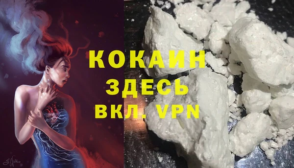 мет Инсар