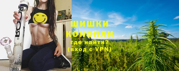 PSILOCYBIN Иннополис